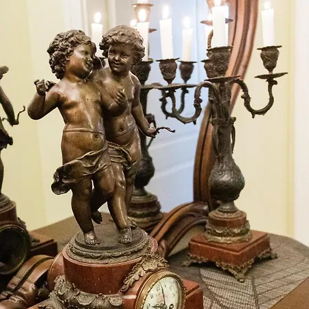 Luxury Antique Apartment